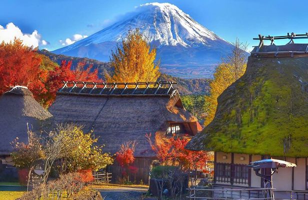 Tokyo: Mount Fuji Must-see Attractions One Day Sightseeing Tour