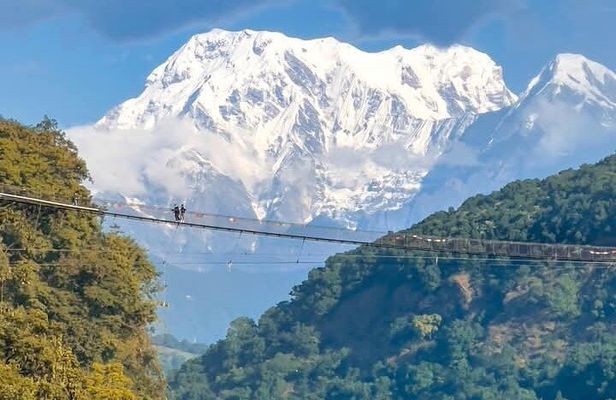 Full day Suspension Bridge, Boating, George, Sightseeing Tour