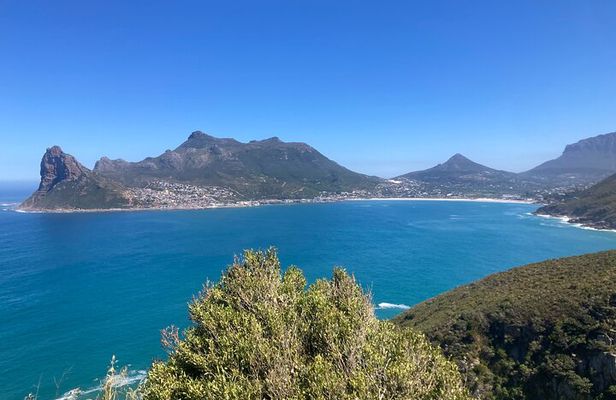 Cape Town: Peninsula, Cape of Good Hope and Penguins Tour