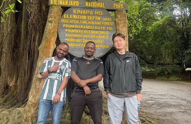 Full Day Private Hiking Tour to Kilimanjaro Mountain