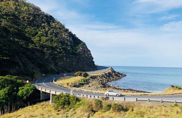 Great Ocean Road Day Highlights Tour with Ocean View