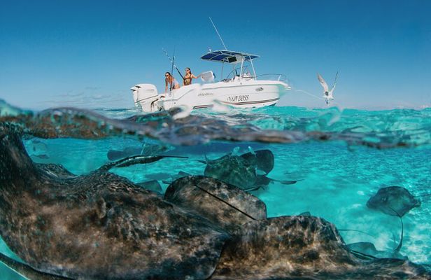 Private Charter Reef fishing, Stingray City, Snorkel, Mangroves
