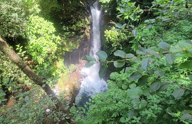 Volcano Hike, Oropendola Waterfall & Hot Springs Experience