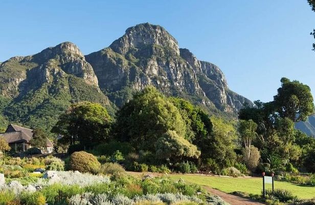Kirstenbosch Botanical Gardens and Wine Tasting in Constantia