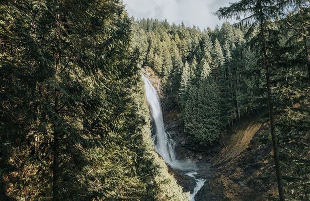 Waterfall Wonderland Hike with Transport