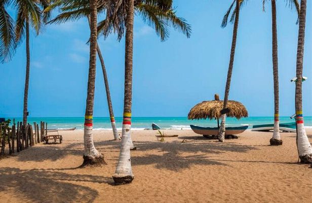 Tour to Palomino, breakfast, lunch with hotel pickup 