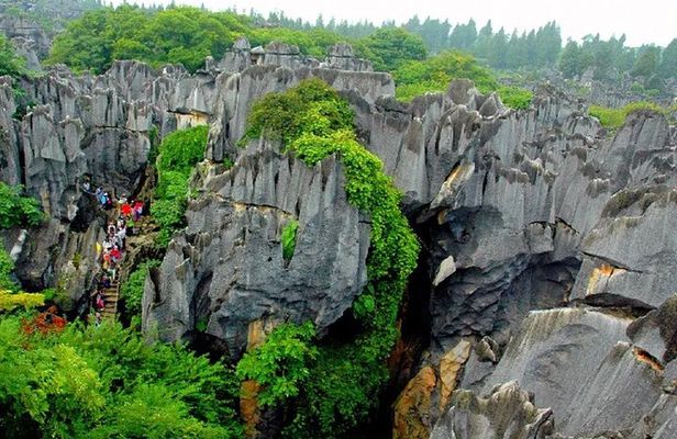Stone Forest + Yiliang Roast Duck + Kunming City Private Tour