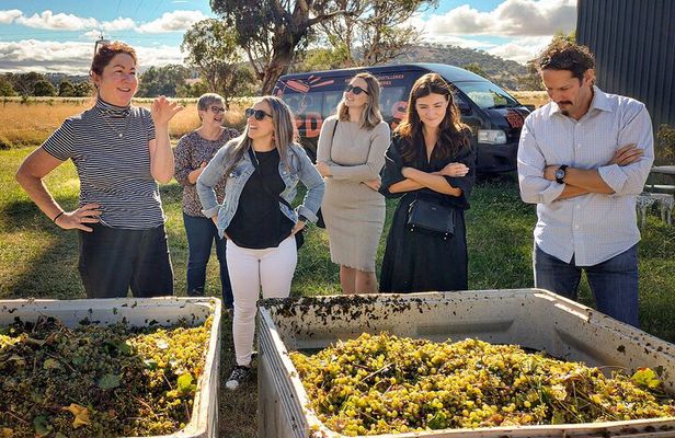 Sydney Grains and Grapes Hunter Valley Wine and Beer with Lunch