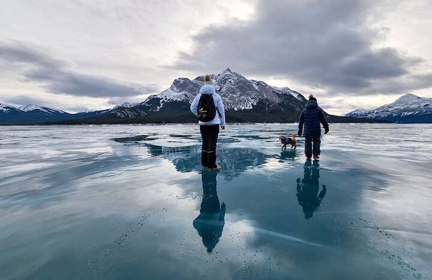 Athabasca Falls/Abraham,Sunwapta Falls,Icefield & Peyto Lake Tour