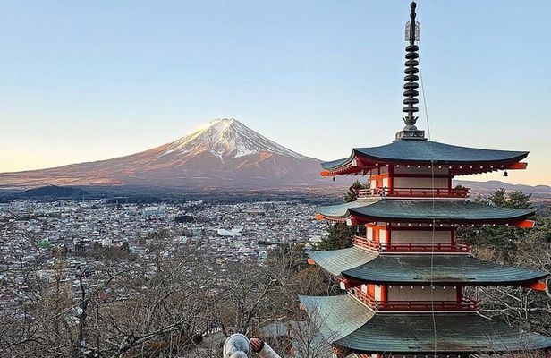 From Tokyo: Mount Fuji Full Day Private Tour With Engish Driver