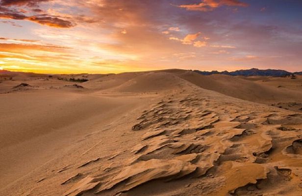 Private sunset trip in Wahiba Sands desert with dinner