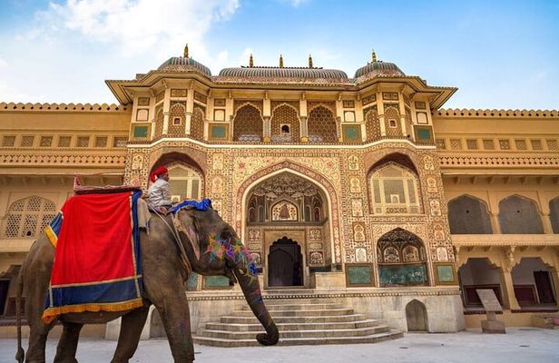 Jaipur Day Tour From Delhi Explore Pink City with Round Trip