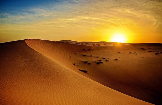 Dubai Morning Desert Safari with Quad Biking and More Activities