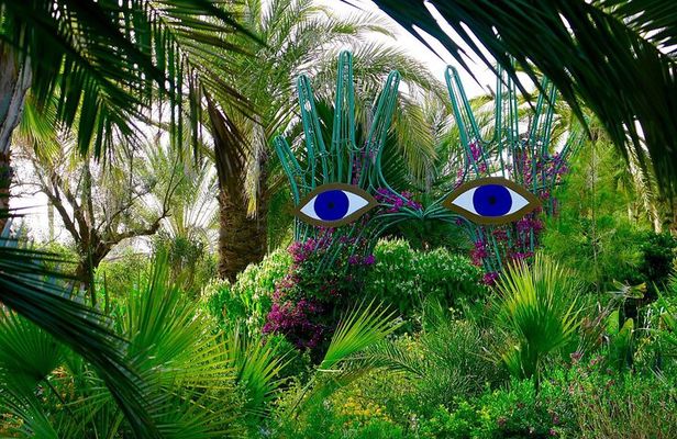 Magical Journey: Discover Ourika Valley & Anima Garden