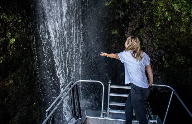 Western Bays Sightseeing Tour from Kinloch Lake Taupo