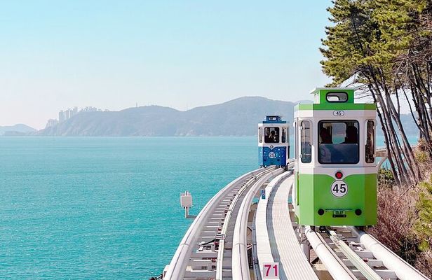 Colors of Busan: Sky Capsule, Jagalchi Market & Night Views