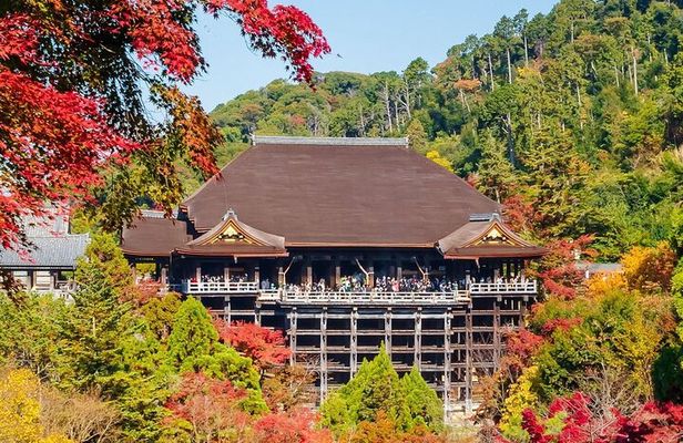 Kyoto & Uji: Full Day Sightseeing Tour from Osaka or Kyoto