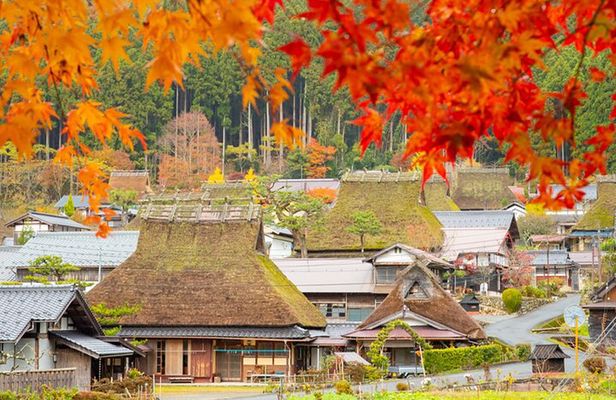 Kyoto Ine Bay, Amanohashidate and Miyama Village Tour From Osaka