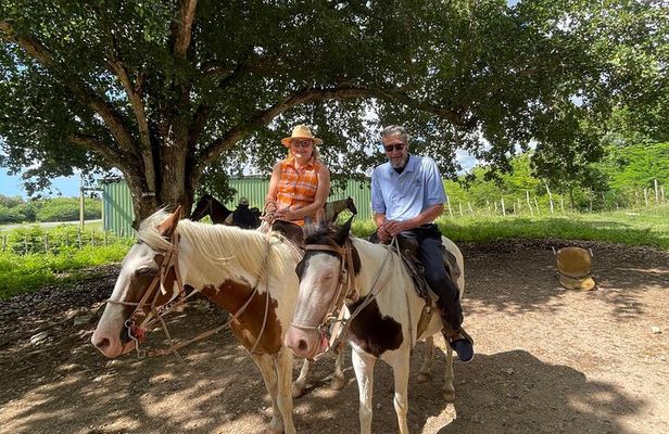 Horseback Riding and Taíno Cave Exploration 