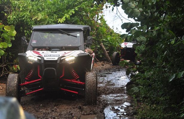 Northern Sights - Buggy in the North
