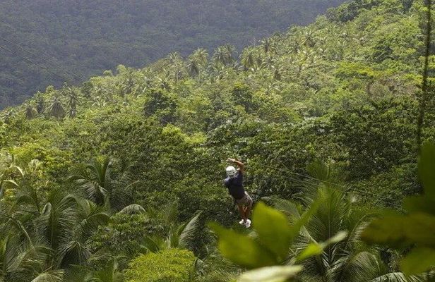 Drive and Fly - Buggy and Zipline