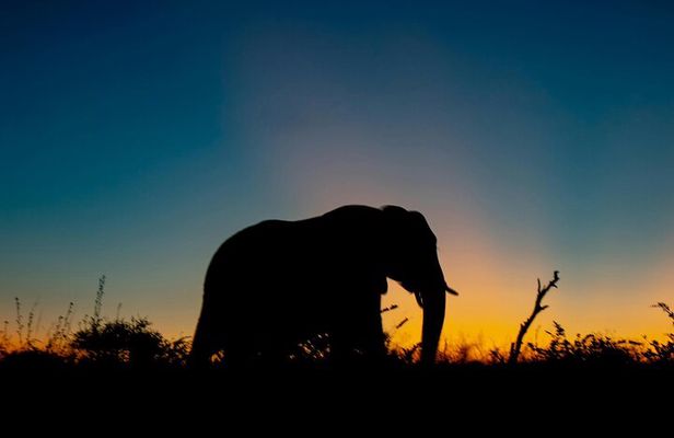 Aquila Game Reserve Sunset Safari