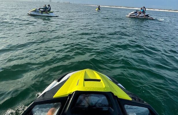 2 Hour Shell Island Jet Ski Dolphin Tour