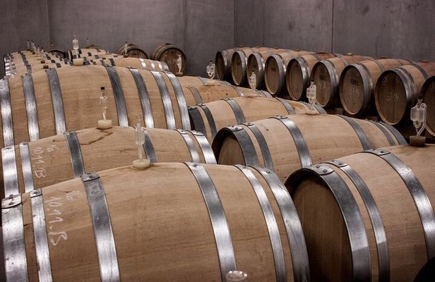 Long Island Wine Tour North Fork Sights, Bites & Flights Full-Day