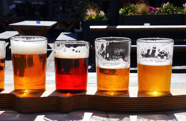 Long Island Wine Tour North Fork Sights, Bites & Flights Full-Day