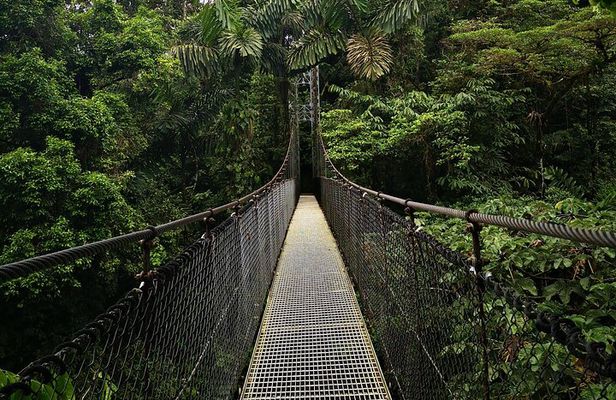 Arenal Tour Including Hanging Bridges Volcano Hike and Waterfall