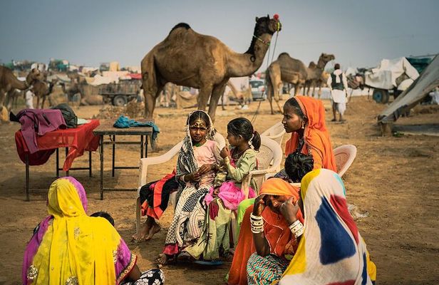 Jaipur to Pushkar Day Trip with Lakeside Lunch