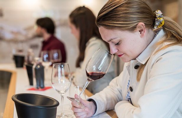 Private wine tasting workshop in Bourgogne