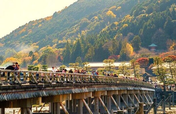 Kyoto Day Tour to Arashiyama, Fushimi Inari and Nara Deer Park