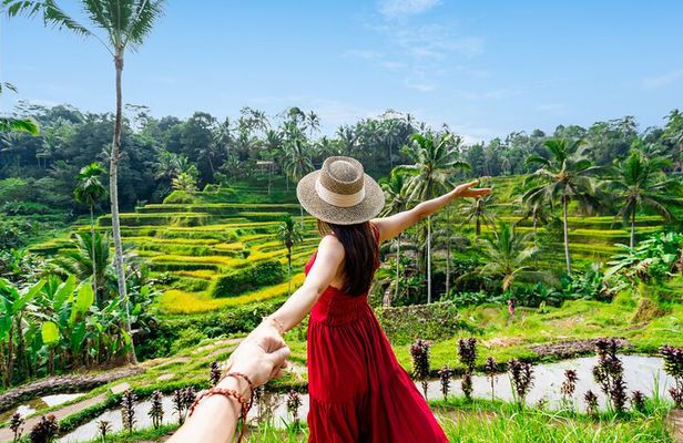 Ubud Tour with Swing, Waterfalls, Rice Terraces & Monkey Forest