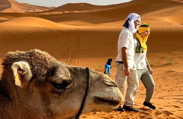 From Marrakech: 3-Day Private Excursion to the Erg Chegaga Sahara