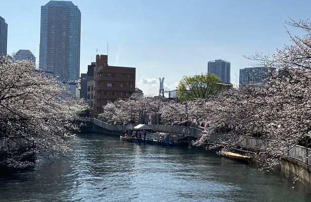 Temple Tour with a Real Local in East Tokyo