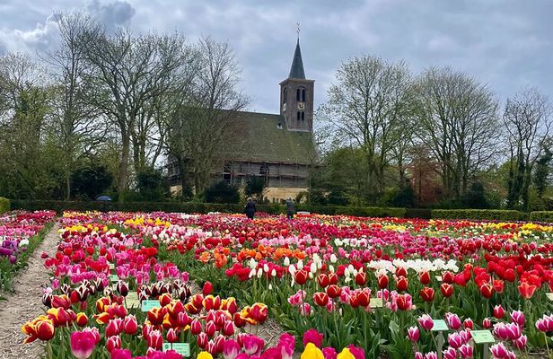 Private Tulip Museum Garden Windmill and Cheese Tasting Tour 