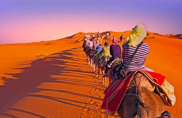 2 Days, 1 Night Luxury Desert Trip (Fes to Fes Or Marrakech)