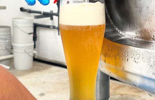 Brewery Tour and Beer Tasting | Tour y Degustación de Cerveza