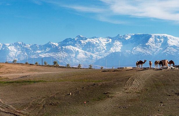 Agafay Desert Sunset tour with camel ride ,dinner and show