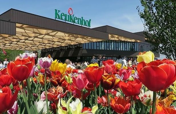 Keukenhof Garden Private Tour From Amsterdam Included tickets!