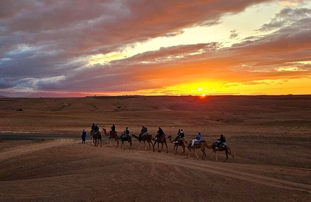 Agafay Desert Camel riding with sunset and dinner and berber show