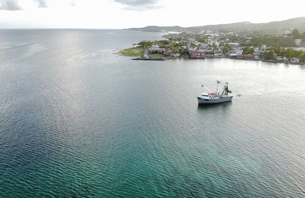 Private Roatan Sightseeing Tour