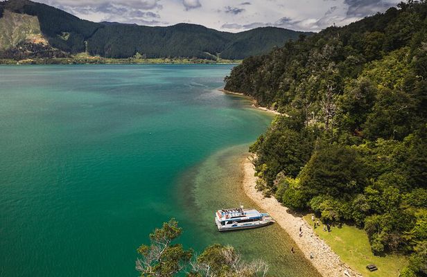 From Havelock to Marlborough Sounds Postie's Day Off Cruise
