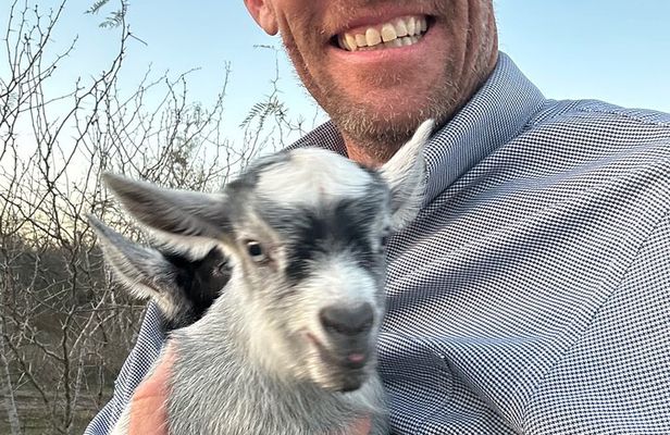 Birds, bees, plants and goats.
