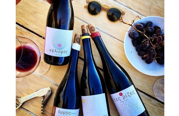Paros Wine Tasting at a Local Winery