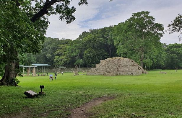 From San Pedro Sula: Mayan Ruins of Copan Day Trip