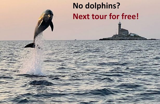 Rovinj Private Dolphin Watching Sunset Speedboat Tour with Drinks