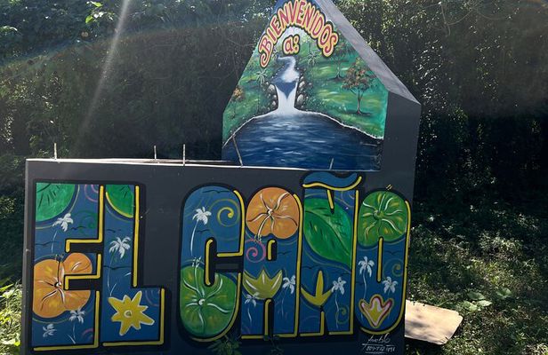 Coffee and Chocolate Plantation Tour 