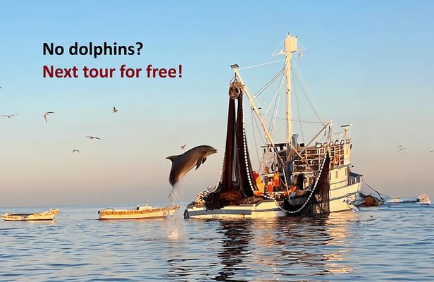Private Sunrise Dolphins & Fishermen at Work boat tour in Rovinj